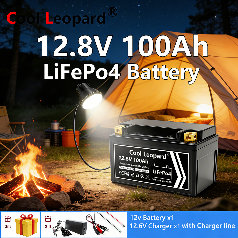 Lightweight 12V 100Ah LiFePO4  - Fish Finder Charger avis et prix