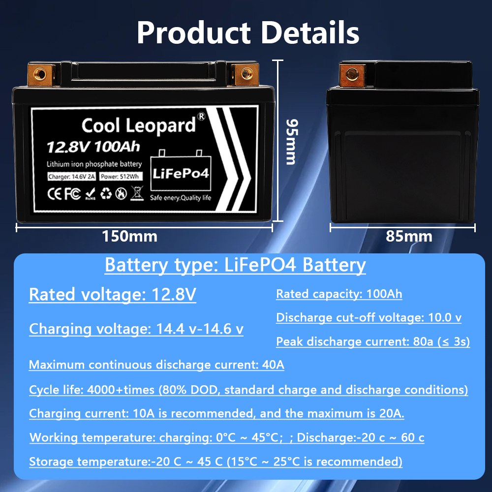 Lightweight 12V 100Ah LiFePO4  - Fish Finder Charger avis et prix
